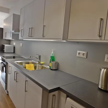 Apartment Berki *